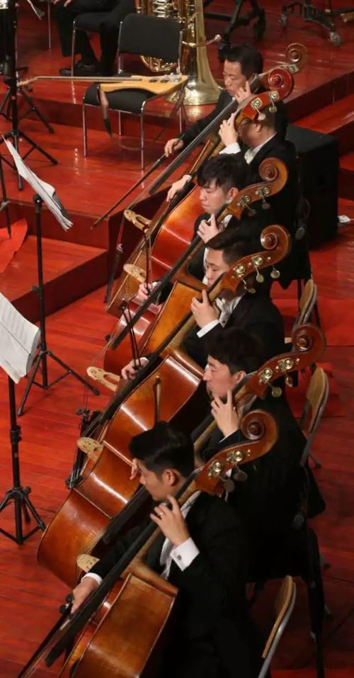 天津交响乐团 上周精彩回顾及近期演出预告